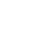 starfish